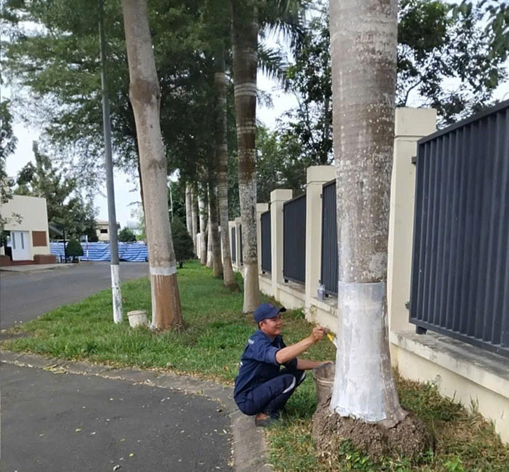 CHĂM SÓC CÔNG TRÌNH THANH NIÊN PPC – CHÀO XUÂN BÍNH NGỌ 2026